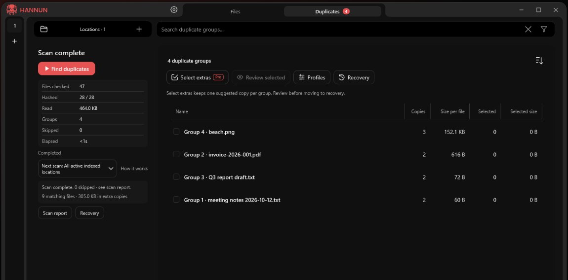 Hannun's Duplicates tab listing four groups of identical files after a scan